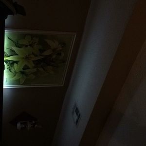 Meet your Posher, Gena